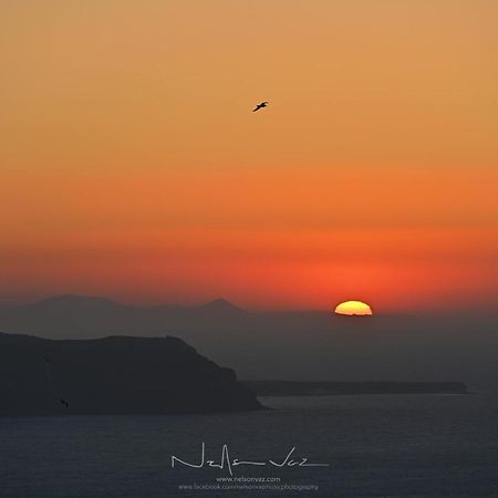 Delion View Hotel Fira (Santorini) Exterior foto