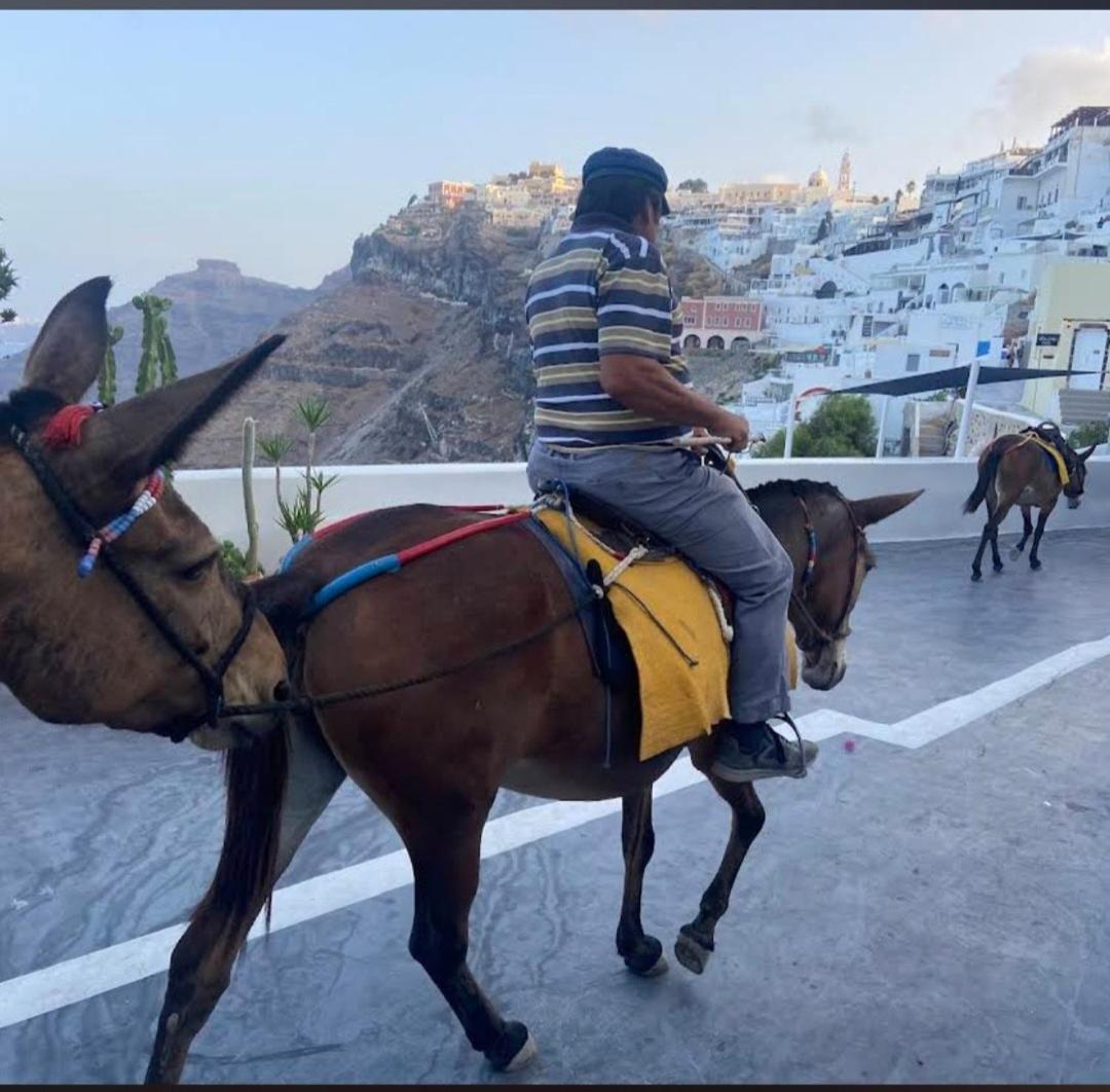 Delion View Hotel Fira (Santorini) Exterior foto